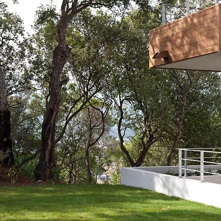Residence Hoteliere Alcyon Porto-Vecchio  Exterior photo
